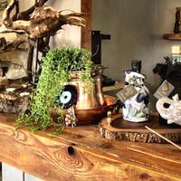 Müzik & Eğlence Galerisi