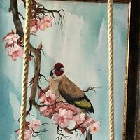 Oda Özellikleri Galerisi