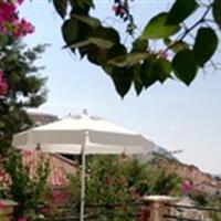 Havuz & Plaj Galerisi