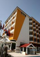 Genel Görünüm Galerisi