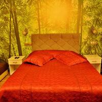 Oda Özellikleri Galerisi