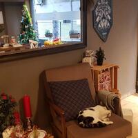 Lobi & Oturma Alanları Galerisi