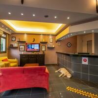 Lobi & Oturma Alanları Galerisi