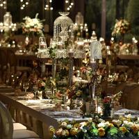 Toplantı ve Organizasyon Galerisi