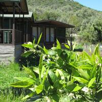 Oda Özellikleri Galerisi