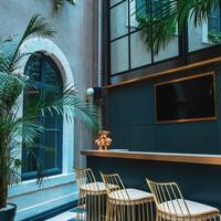 Müzik & Eğlence Galerisi