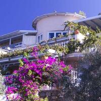 Genel Görünüm Galerisi