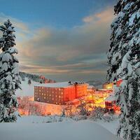 Genel Görünüm Galerisi