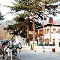 Genel Görünüm Galerisi