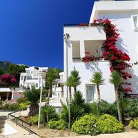 Genel Görünüm Galerisi