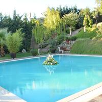 Havuz & Plaj Galerisi