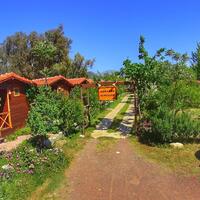 Genel Görünüm Galerisi