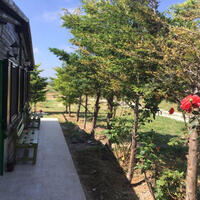 Genel Görünüm Galerisi