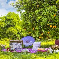 Oda Özellikleri Galerisi