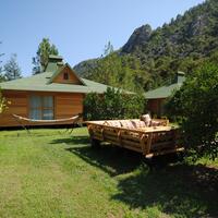 Genel Görünüm Galerisi