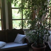 Lobi & Oturma Alanları Galerisi