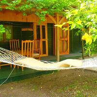 Oda Özellikleri Galerisi