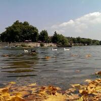 Genel Görünüm Galerisi