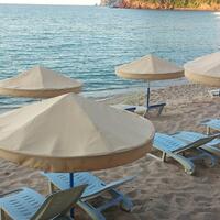 Havuz & Plaj Galerisi