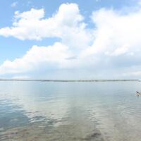 Havuz & Plaj Galerisi