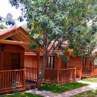 Oda Özellikleri Galerisi