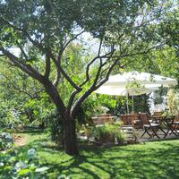 Genel Görünüm Galerisi