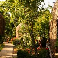 Oda Özellikleri Galerisi