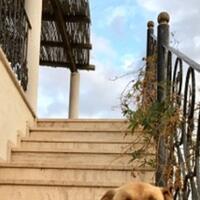 Genel Görünüm Galerisi