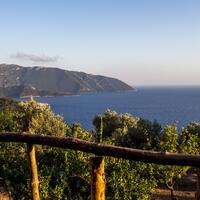 Genel Görünüm Galerisi