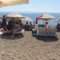 Havuz & Plaj Galerisi