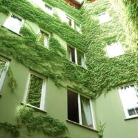 Genel Görünüm Galerisi