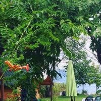 Lobi & Oturma Alanları Galerisi