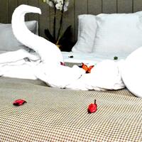 Oda Özellikleri Galerisi