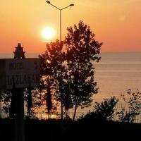 Oda Özellikleri Galerisi