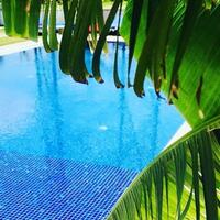 Havuz & Plaj Galerisi