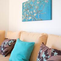 Oda Özellikleri Galerisi