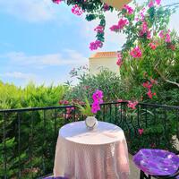 Oda Özellikleri Galerisi