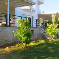 Genel Görünüm Galerisi