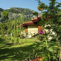 Oda Özellikleri Galerisi