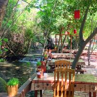 Genel Görünüm Galerisi