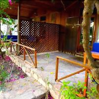 Oda Özellikleri Galerisi