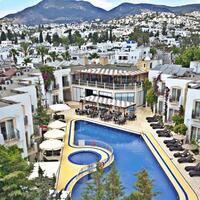 Genel Görünüm Galerisi