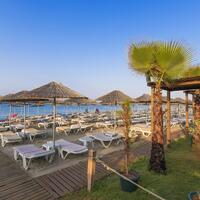 Havuz & Plaj Galerisi