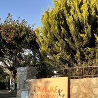 Genel Görünüm Galerisi