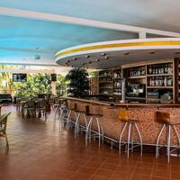 Müzik & Eğlence Galerisi