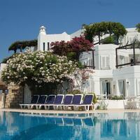 Genel Görünüm Galerisi