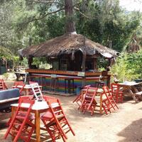 Müzik & Eğlence Galerisi