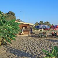 Havuz & Plaj Galerisi