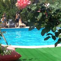 Havuz & Plaj Galerisi