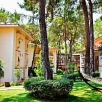 Genel Görünüm Galerisi